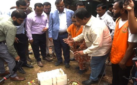 বৈজ্ঞানিক পদ্ধতিতে প্রথমবারের মতো নিজস্ব এডিস লার্ভা জরিপ শুরু ডিএসসিসির
